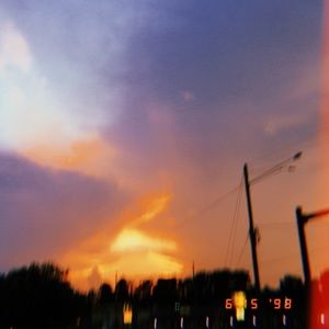 Meet your Posher, Lily